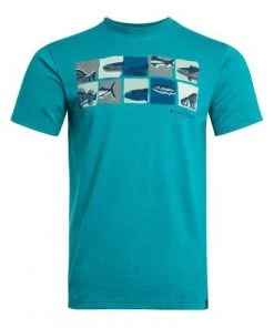 Weird Fish Green Anatomy Recycled Organic Graphic T-Shirt -Weird Fish Sales unnamed file 106